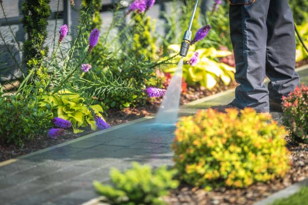 Best Pre-Holiday Cleaning  in Fairmont, WV